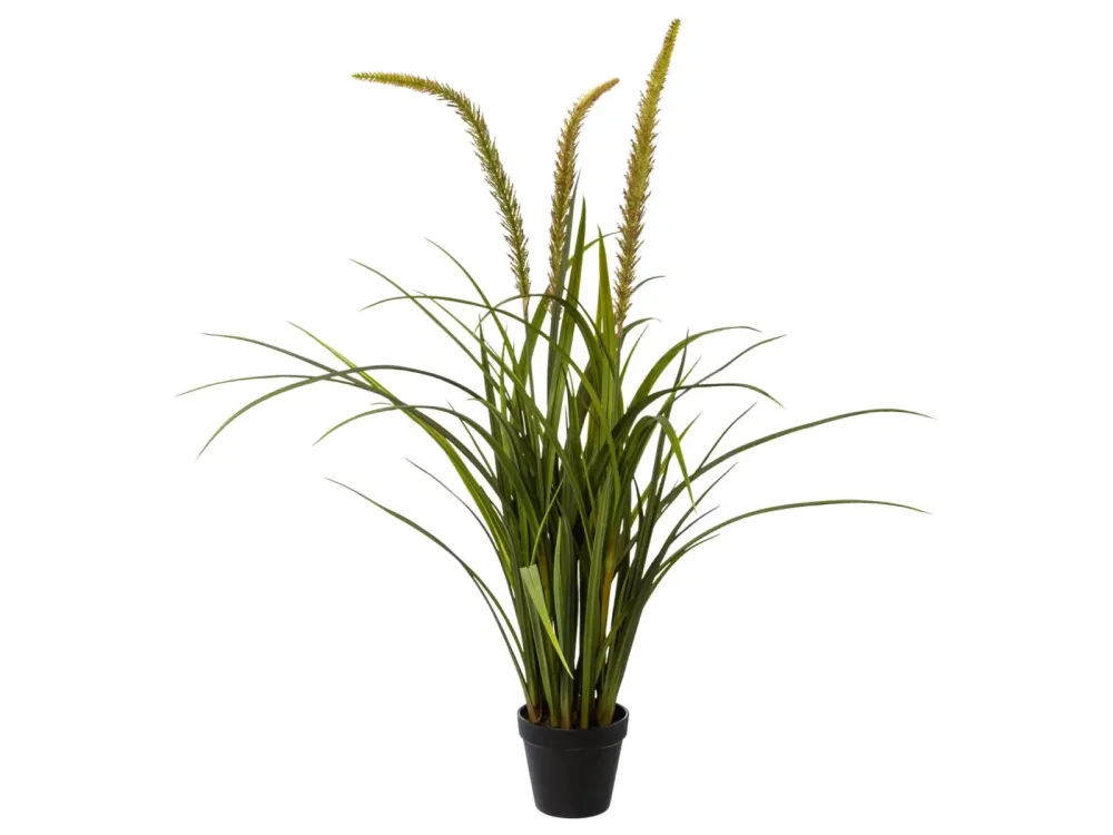 Gasper Kunstpflanze Miscanthus im Topf  | Schubiger Möbel