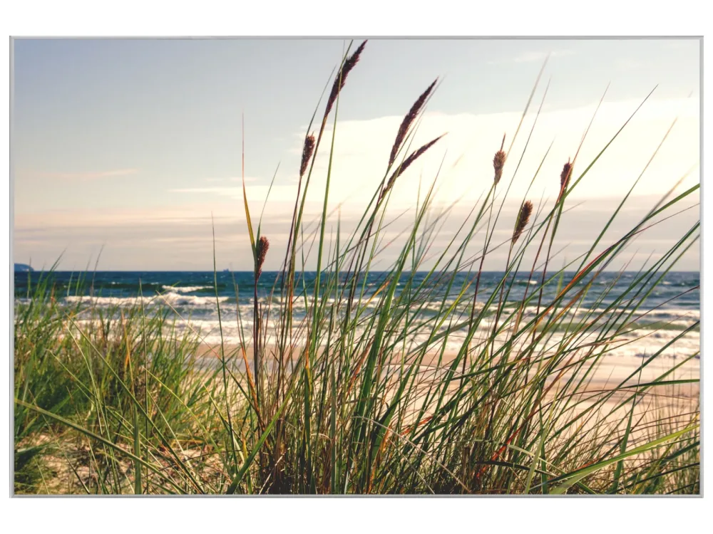 image LAND Bild mit Rahmen Seegras  | Schubiger Möbel
