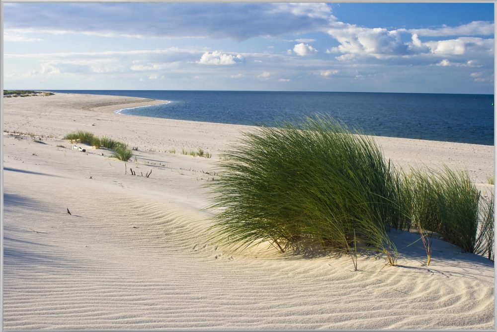 image LAND Bild mit Rahmen Strand mit Dünengras  | Schubiger Möbel
