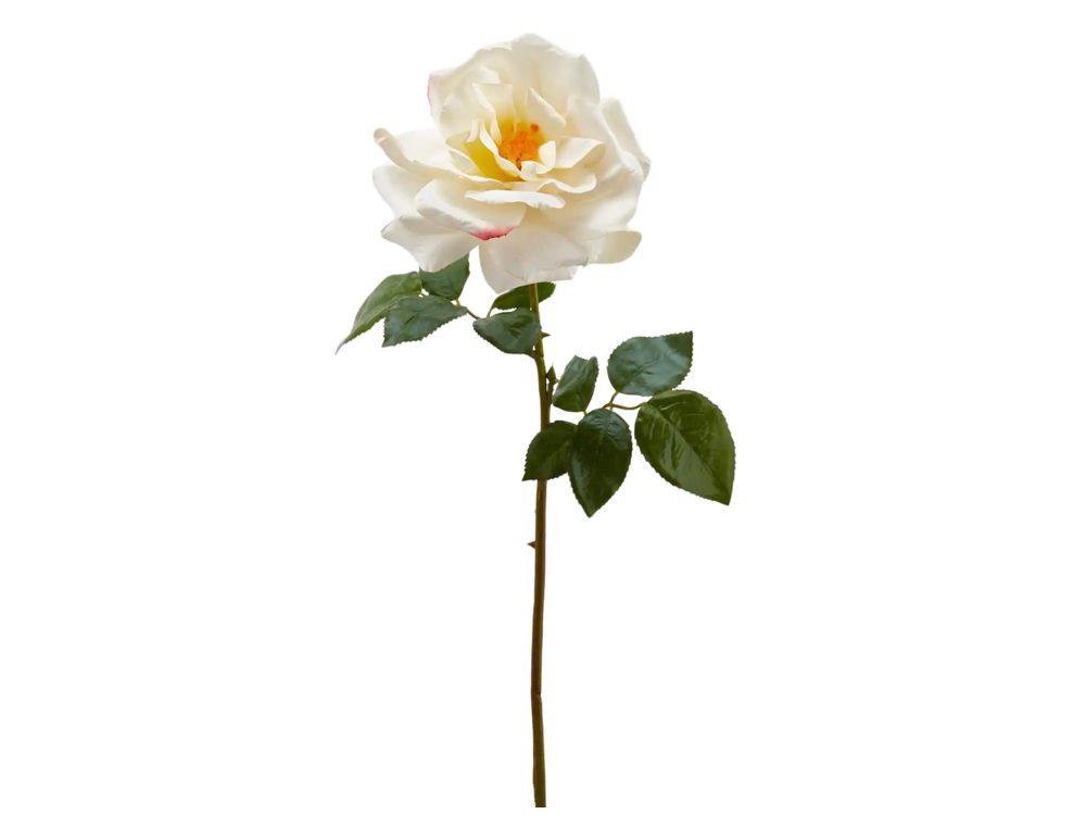 Edg Kunstblumen Rose Weiss H: 56 cm  | Schubiger Möbel