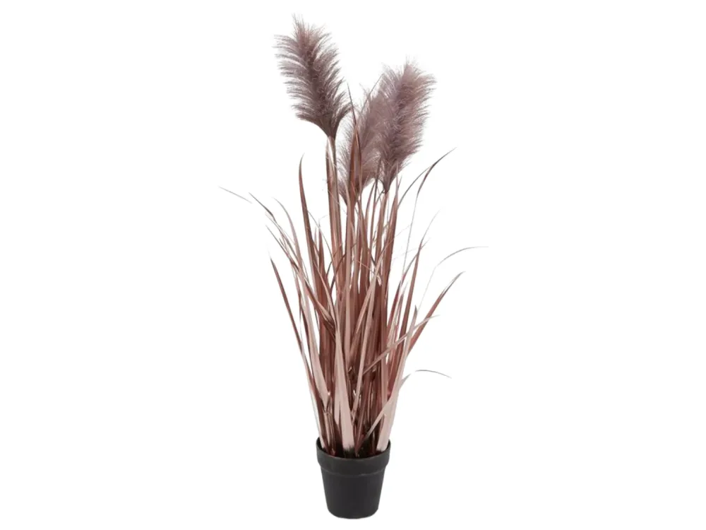 Edg Kunstpflanzen Pampasgrass Lilia H: 100 cm  | Schubiger Möbel