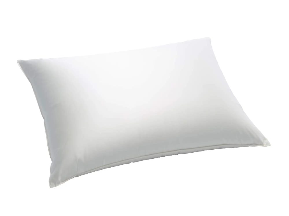 Billerbeck Kissen Eider Soft Plus Champagne Weiss | Schubiger Möbel