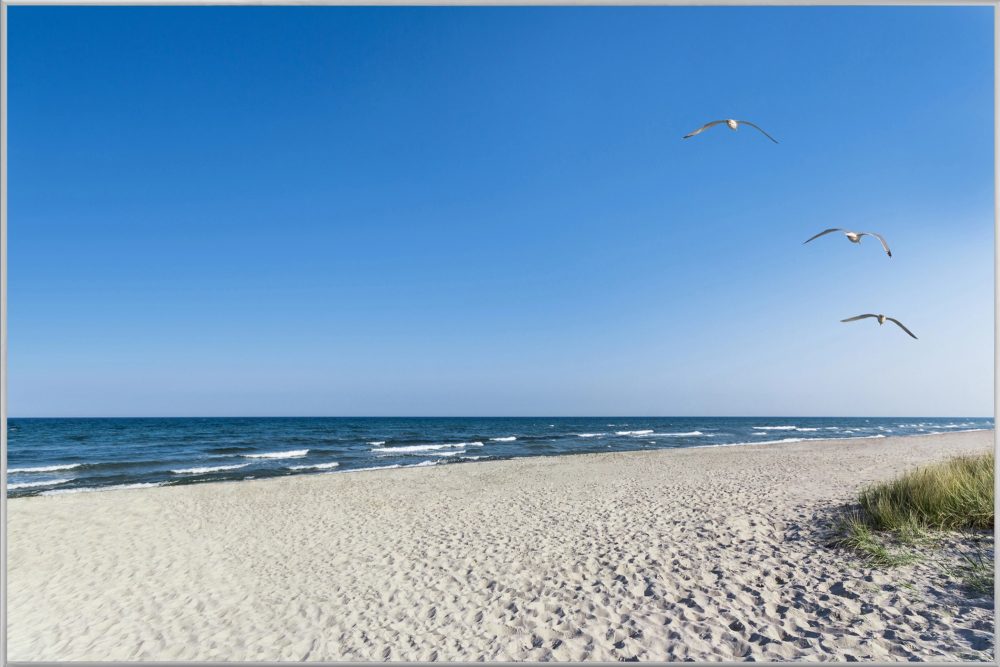image LAND Bild mit Rahmen Einsamer Strand  | Schubiger Möbel