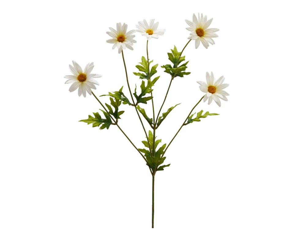 Edg Kunstblumen Margerite H: 75 cm  | Schubiger Möbel