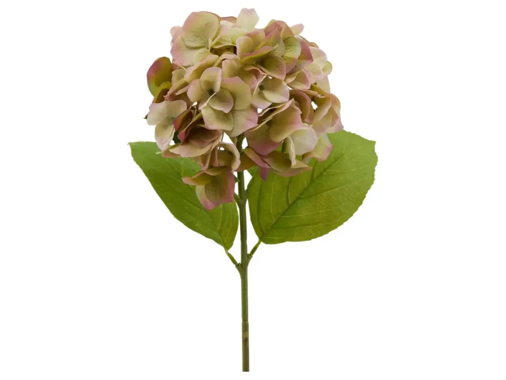 Edg Kunstblume Hortensie Grün-Pink H: 50 cm Mehrfarbig | Schubiger Möbel