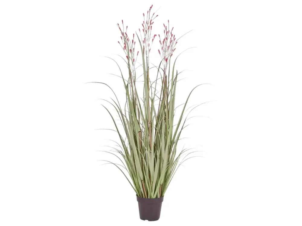 Edg Kunstpflanzen Schilf Apricot H: 130 cm  | Schubiger Möbel