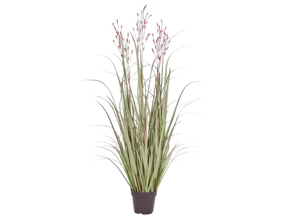 Edg Kunstpflanzen Schilf Apricot H: 130 cm  | Schubiger Möbel