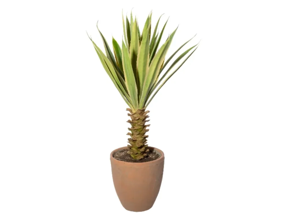 Gasper Kunstpflanze Yucca im Terracottatopf, Grüncreme H: 75 cm  | Schubiger Möbel