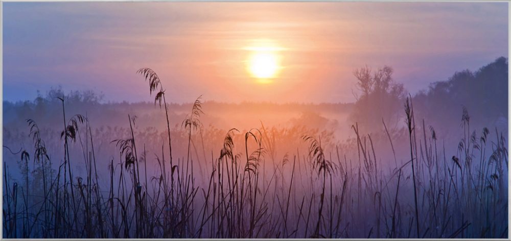 image LAND Bild mit Rahmen Sonnenaufgang im Nebel  | Schubiger Möbel
