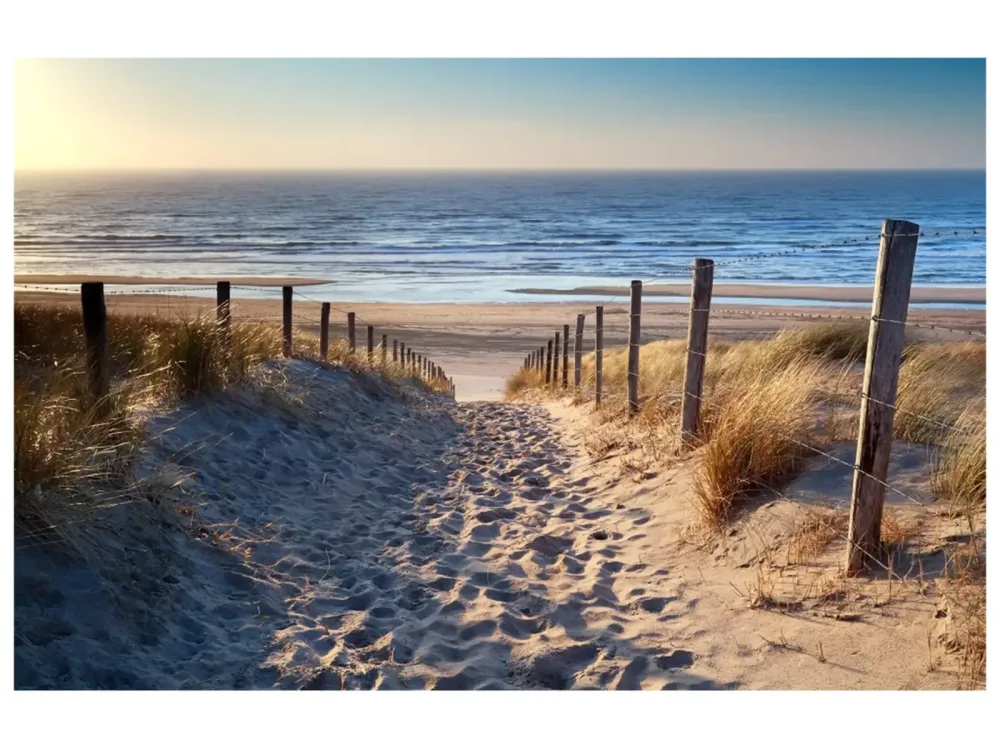 image LAND Digitaldruck auf Glas Sandweg Zum Meer 2  | Schubiger Möbel