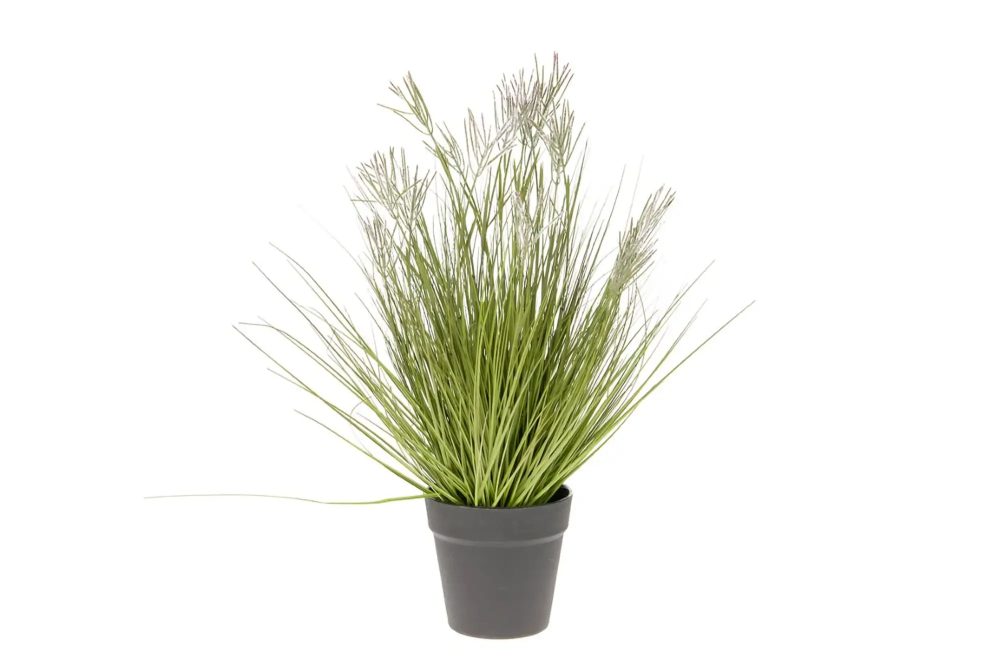 Decofinder Kunstpflanzen Nadelgras im Topf H: 54 cm  | Schubiger Möbel