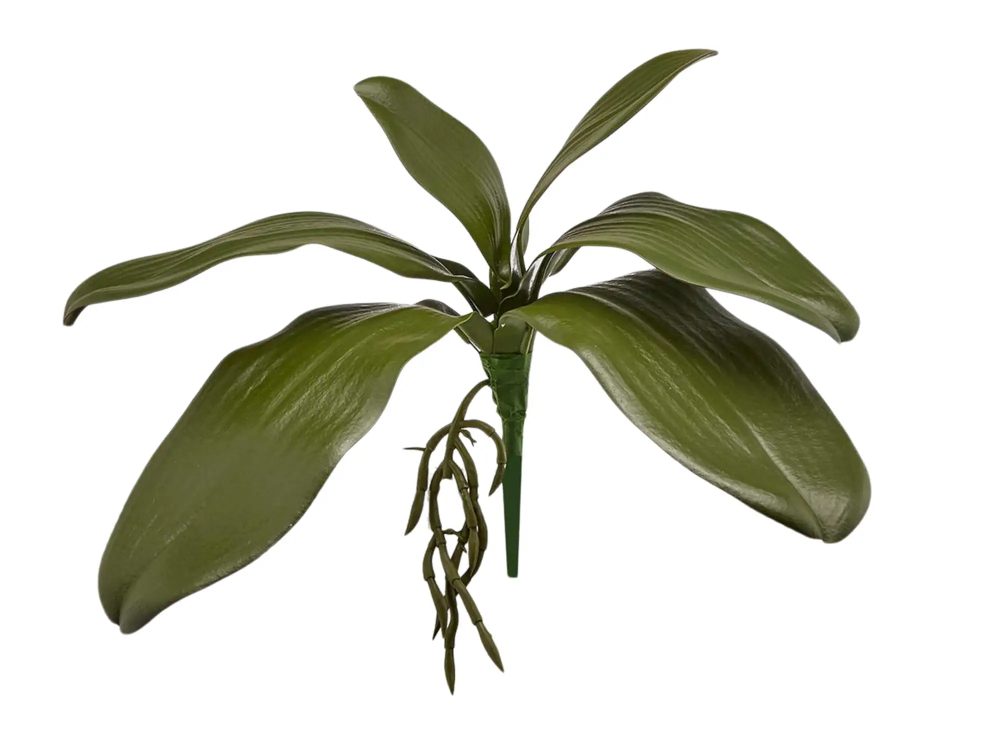 Edg Kunstblume Orchideenblätter H: 27 cm  | Schubiger Möbel
