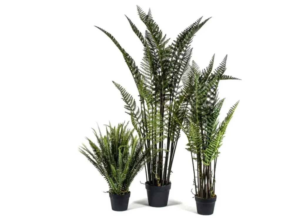 Decofinder Kunstpflanzen Lederfarn H: 116 cm  | Schubiger Möbel