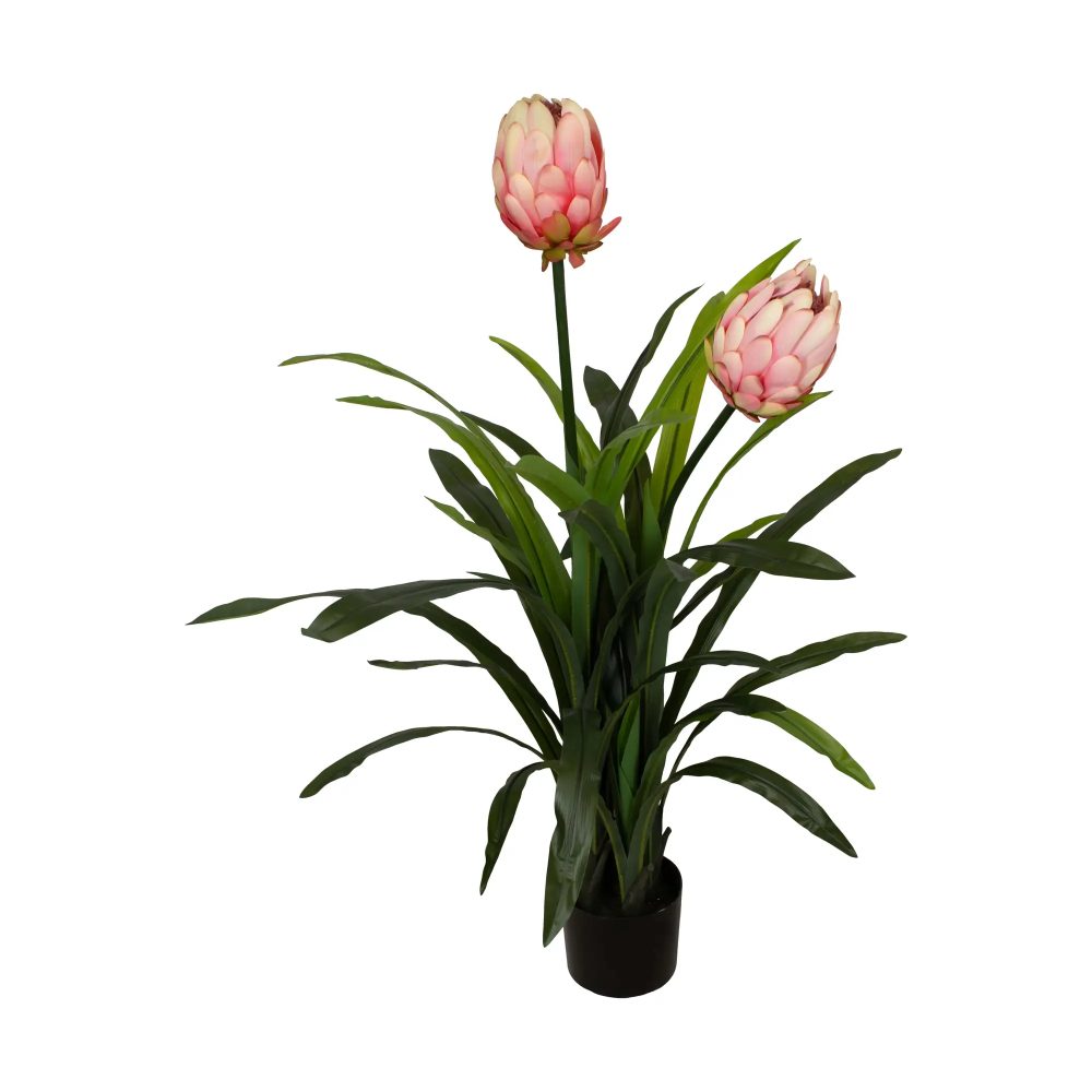 Decofinder Kunstpflanze Protea Pfirsich H: 116 cm  | Schubiger Möbel