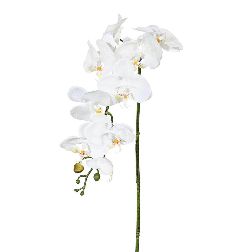 Gasper Kunstblume Orchidee, Creme  | Schubiger Möbel