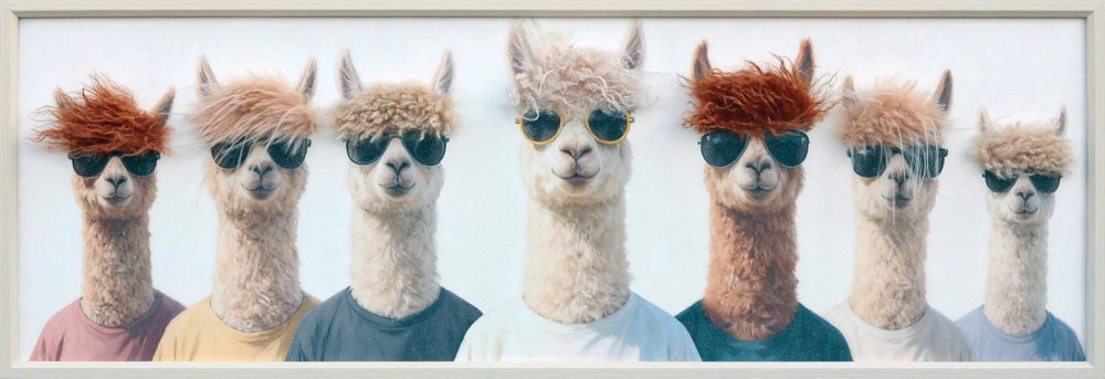 image LAND Gemälde Boyband The Lama Pacos  | Schubiger Möbel