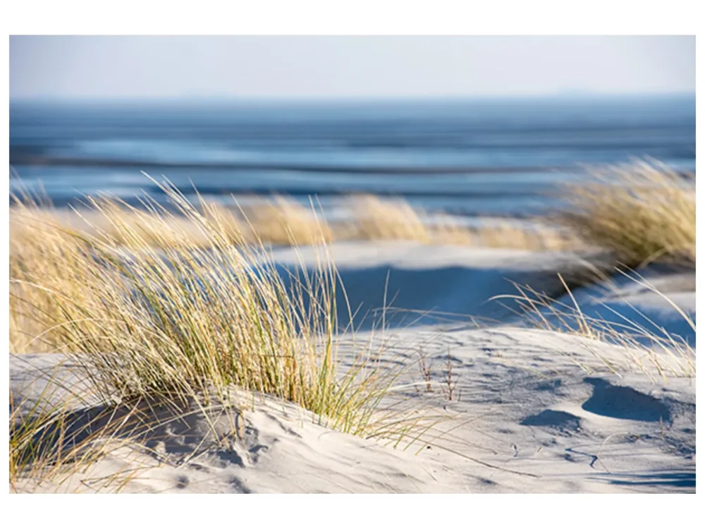 image LAND Acrylglasbild Time Out on The Beach  | Schubiger Möbel