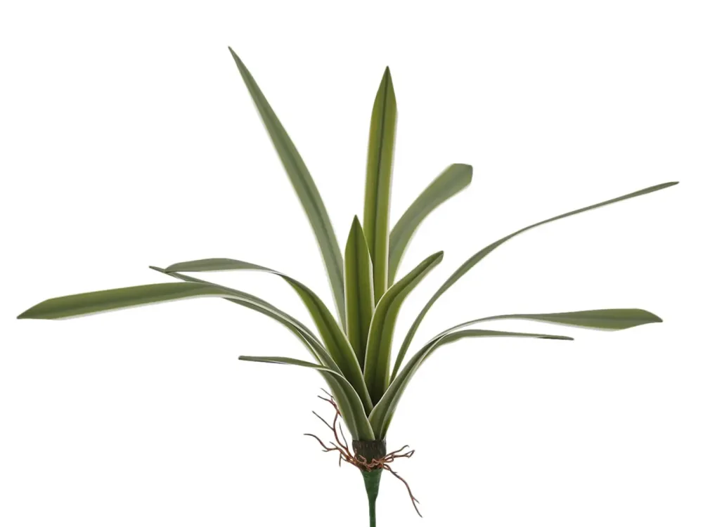 Edg Kunstblume Chlorophytum Weiss-Grün H: 51 cm  | Schubiger Möbel