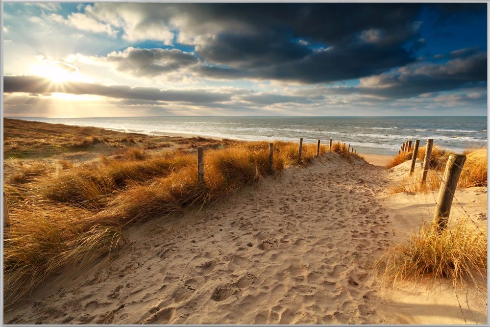 image LAND Bild mit Rahmen Sandweg Zum Meer 3  | Schubiger Möbel