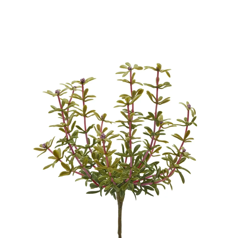 Edg Kunstblume Portulak Fuchsia H: 27 cm  | Schubiger Möbel