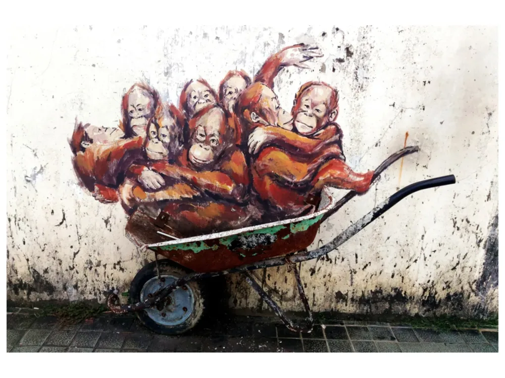 image LAND Alubild Street Art mit Orang-Utans  | Schubiger Möbel