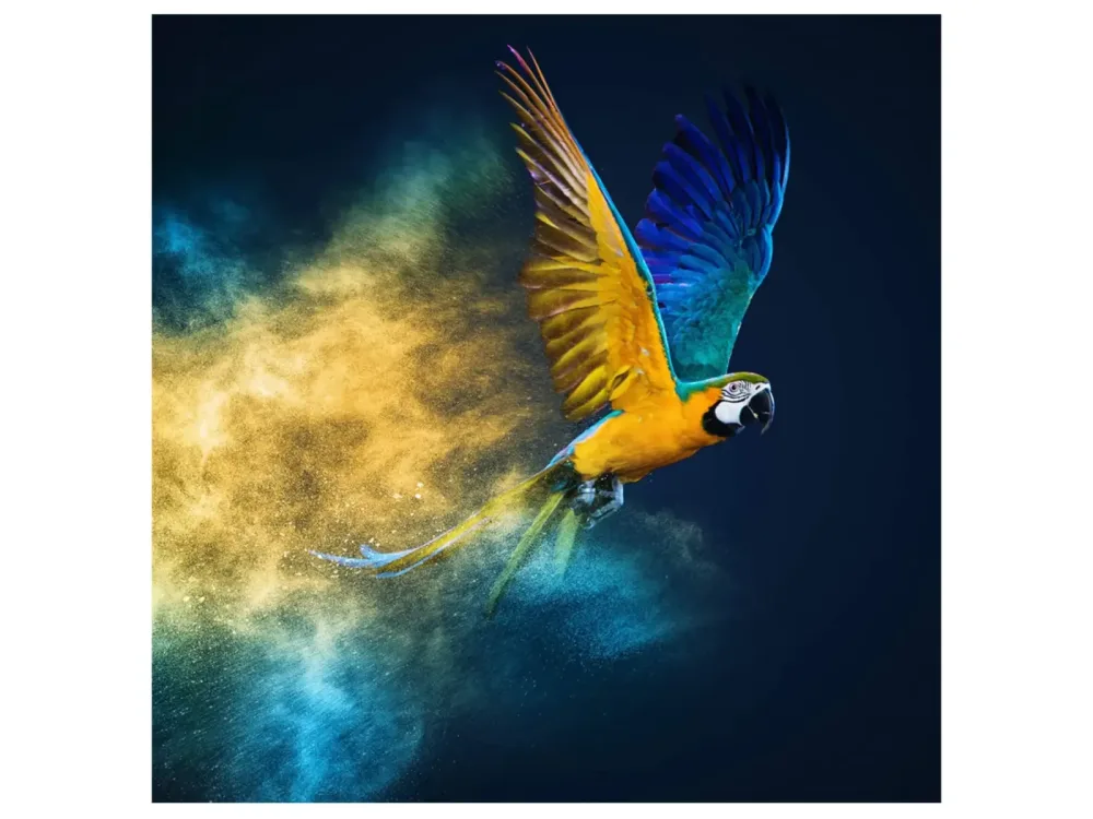 image LAND Digitaldruck auf Glas Fliegender Papagei  | Schubiger Möbel