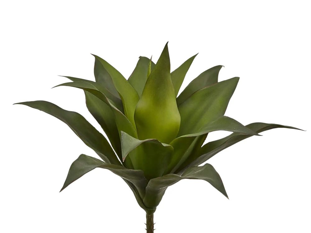 Edg Kunstblume Agave Grün H: 28 cm  | Schubiger Möbel