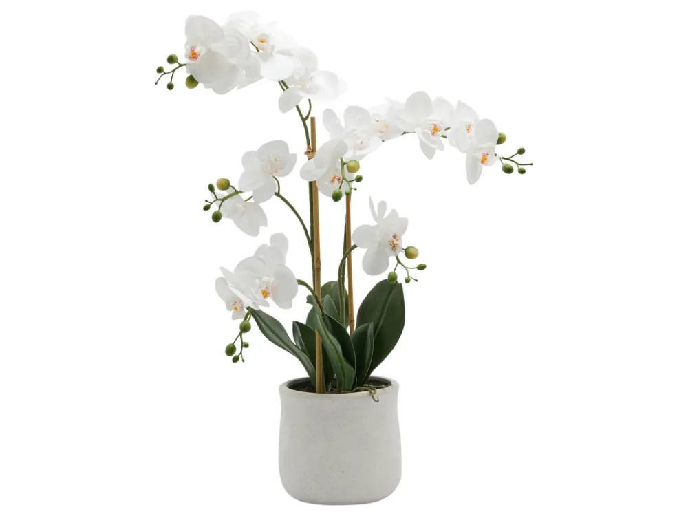 Edg Kunstpflanze Orchidee im Topf H: 65 cm  | Schubiger Möbel