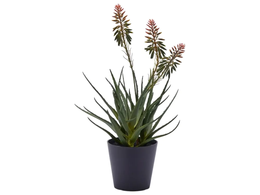 Edg Kunstpflanze Aloe mit Blumen H: 50 cm  | Schubiger Möbel