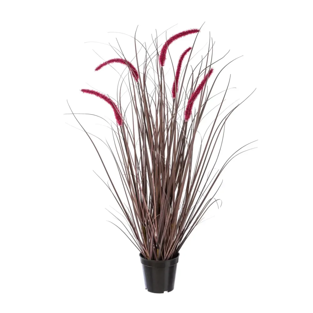 Gasper Kunstblume Pesetum Aubergine H: 89 cm  | Schubiger Möbel