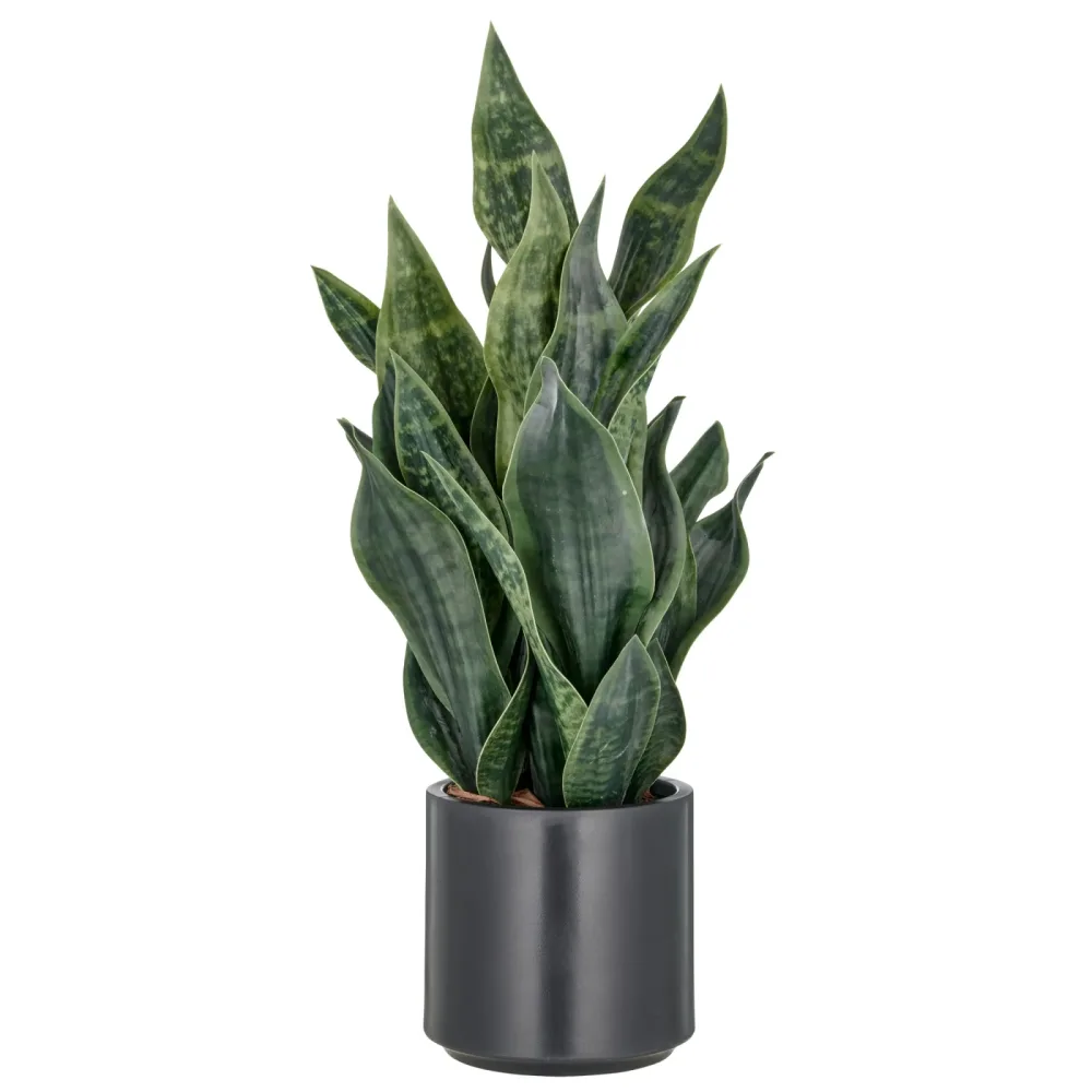 Gasper Kunstpflanze Sansevieria Grey Stripe, Dunkelgrün  | Schubiger Möbel