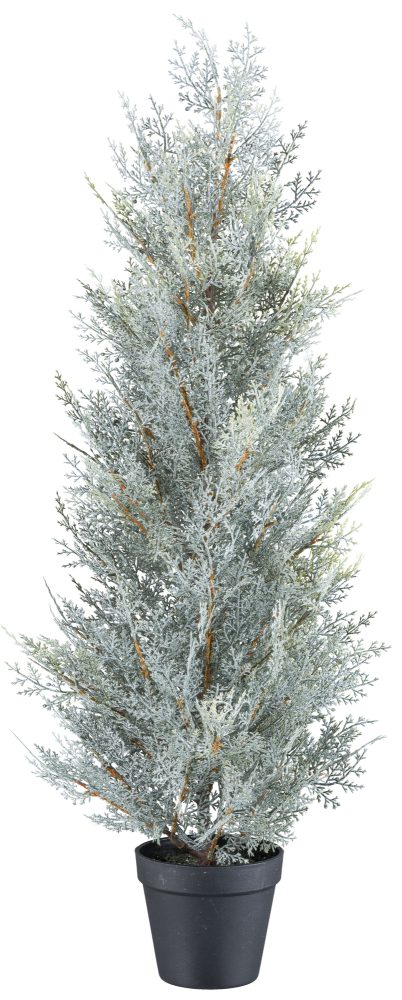Gasper Kunstpflanzen Koniferenbaum, Grau H: 79 cm  | Schubiger Möbel