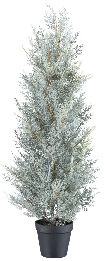 Gasper Kunstpflanzen Koniferenbaum, Grau H: 79 cm  | Schubiger Möbel