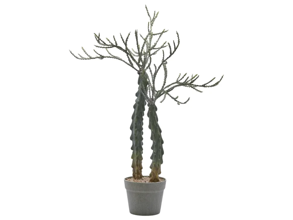 Edg Kunstpflanze Kakuts im Topf H: 75 cm  | Schubiger Möbel