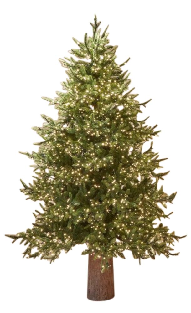 Edg Weihnachtsbaum Pino 3000 Led H: 180 cm  | Schubiger Möbel
