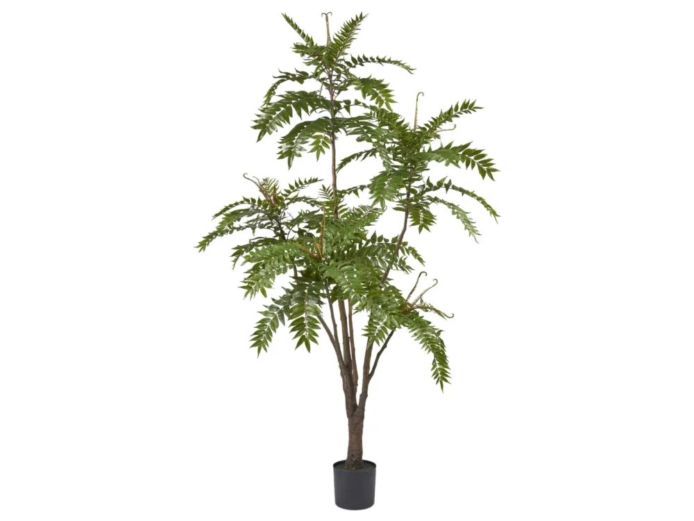 Edg Kunstpflanze Götterbaum H: 220 cm  | Schubiger Möbel