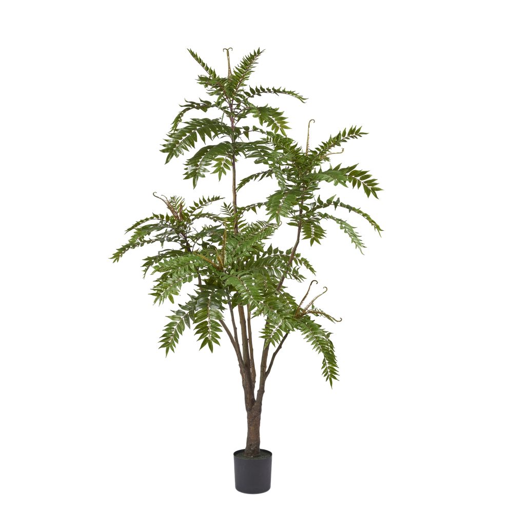 Edg Kunstpflanze Götterbaum H: 220 cm  | Schubiger Möbel