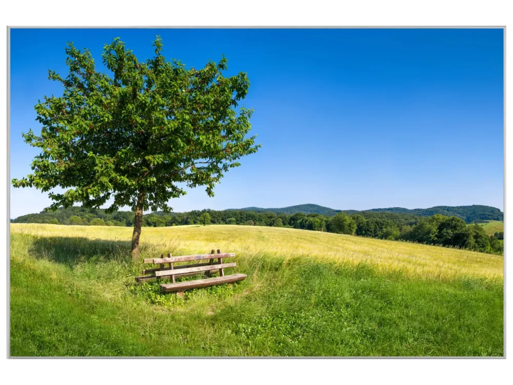 image LAND Bild mit Rahmen Baum mit Bank  | Schubiger Möbel