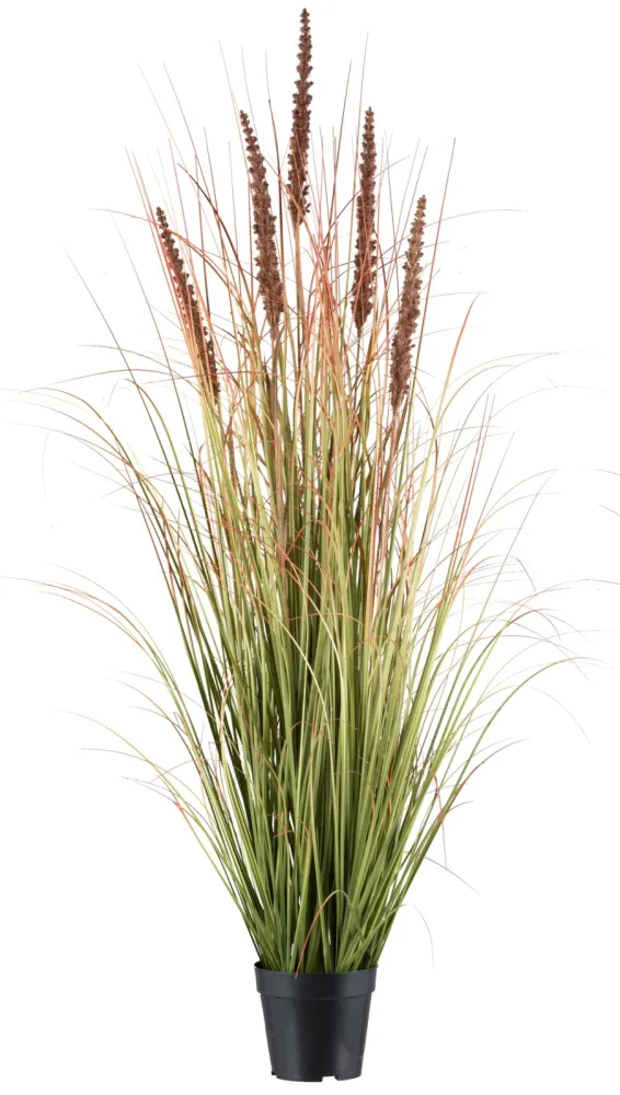 Gasper Kunstpflanzen Grasbusch mit Hirse, Mokka H: 123 cm  | Schubiger Möbel
