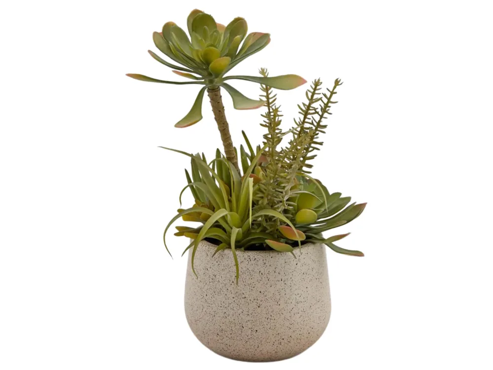 Edg Kunstpflanze Succulenten Mix H: 30 cm  | Schubiger Möbel