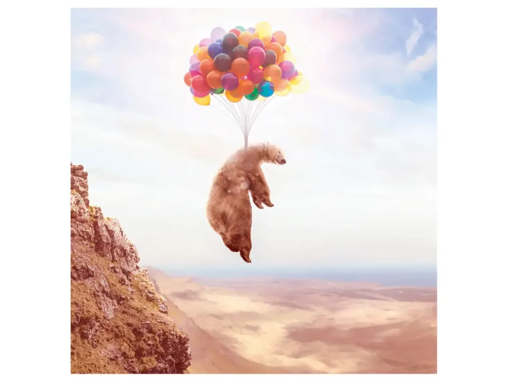 image LAND Digitaldruck auf Acrylglas Fliegender Bär an Luftballons  | Schubiger Möbel