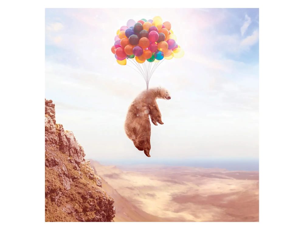 image LAND Digitaldruck auf Acrylglas Fliegender Bär an Luftballons  | Schubiger Möbel
