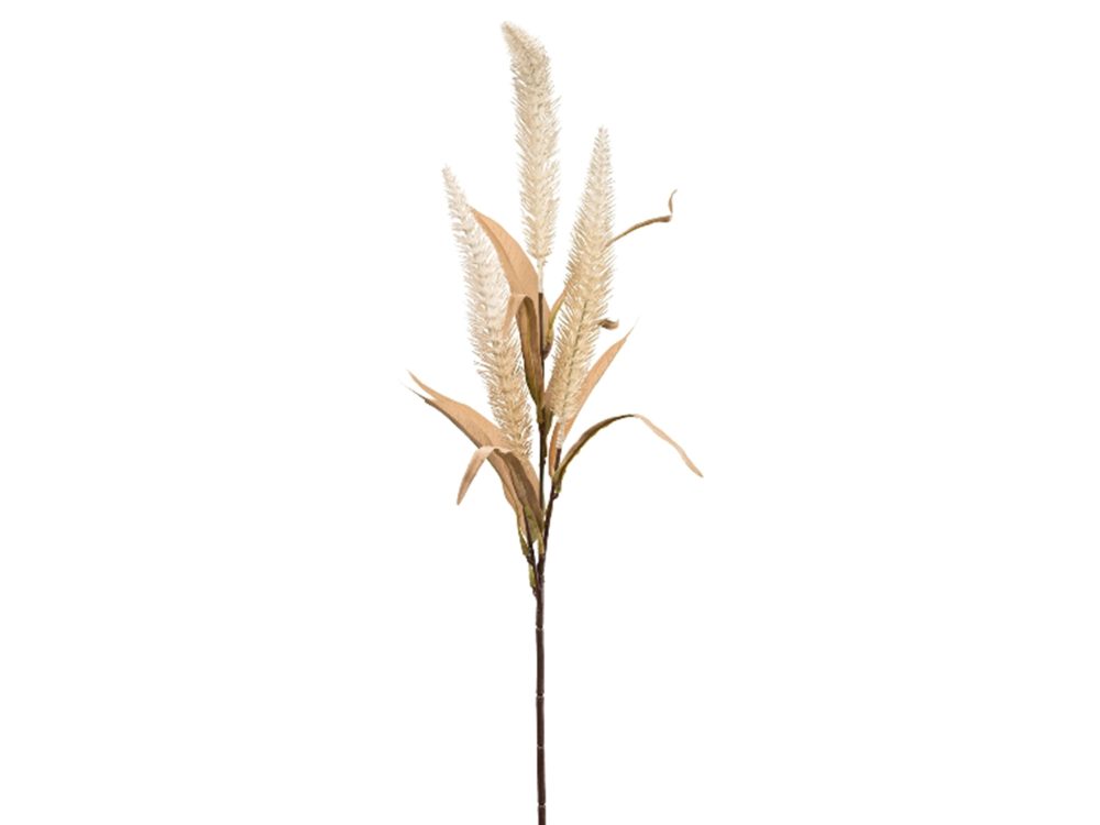 Gasper Kunstblume Graszweig Creme H: 70 cm  | Schubiger Möbel