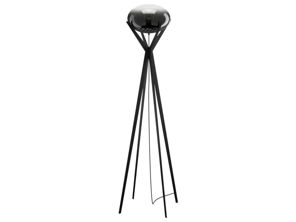 Eglo Stehlampe Curves Lights  | Schubiger Möbel