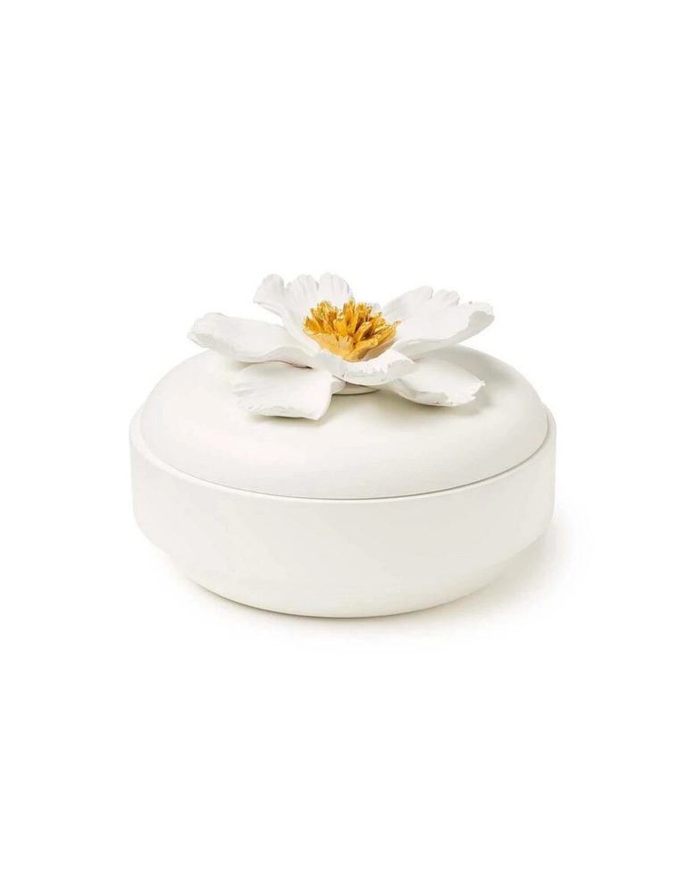 Abhika Dose Peony Weiss H: 10 cm  | Schubiger Möbel