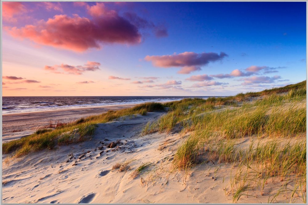 image LAND Bild mit Rahmen Dünen am Meer 3  | Schubiger Möbel