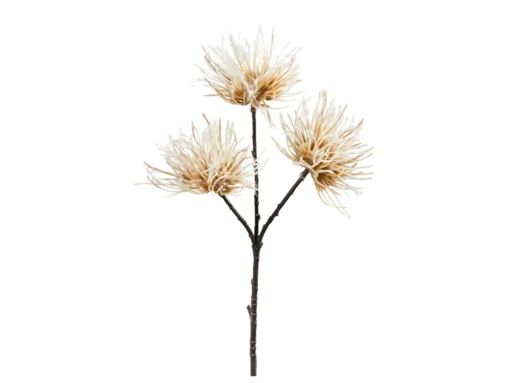 Gasper Kunstblume Urchin Creme H: 37 cm  | Schubiger Möbel