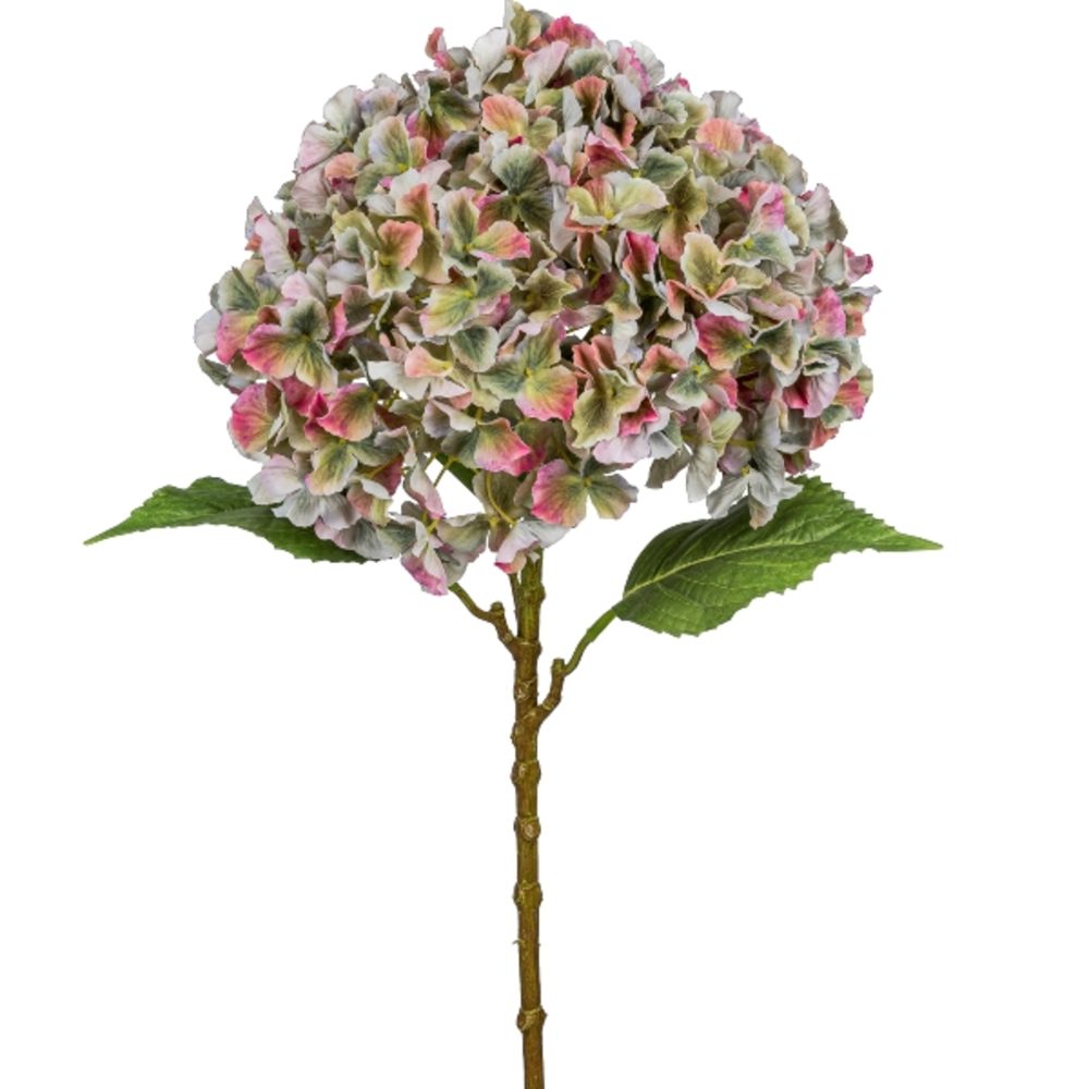 Gasper Kunstblume Hortensie Gigant, Bunt H: 73 cm  | Schubiger Möbel