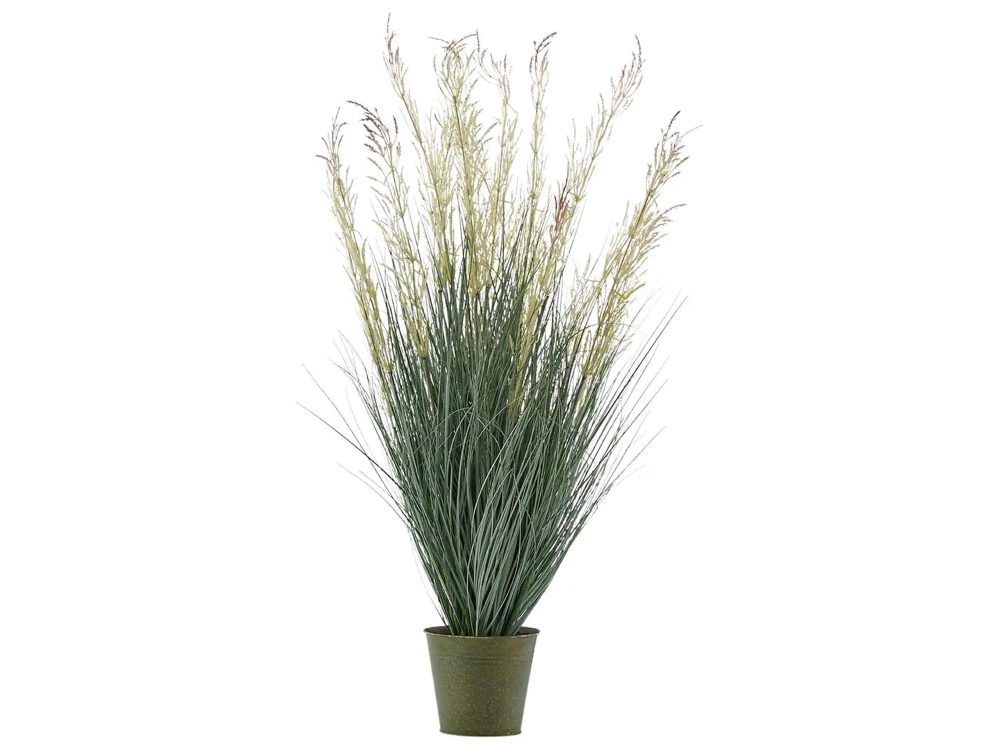 Edg Festuca Im Topf Cream H: 100 cm  | Schubiger Möbel