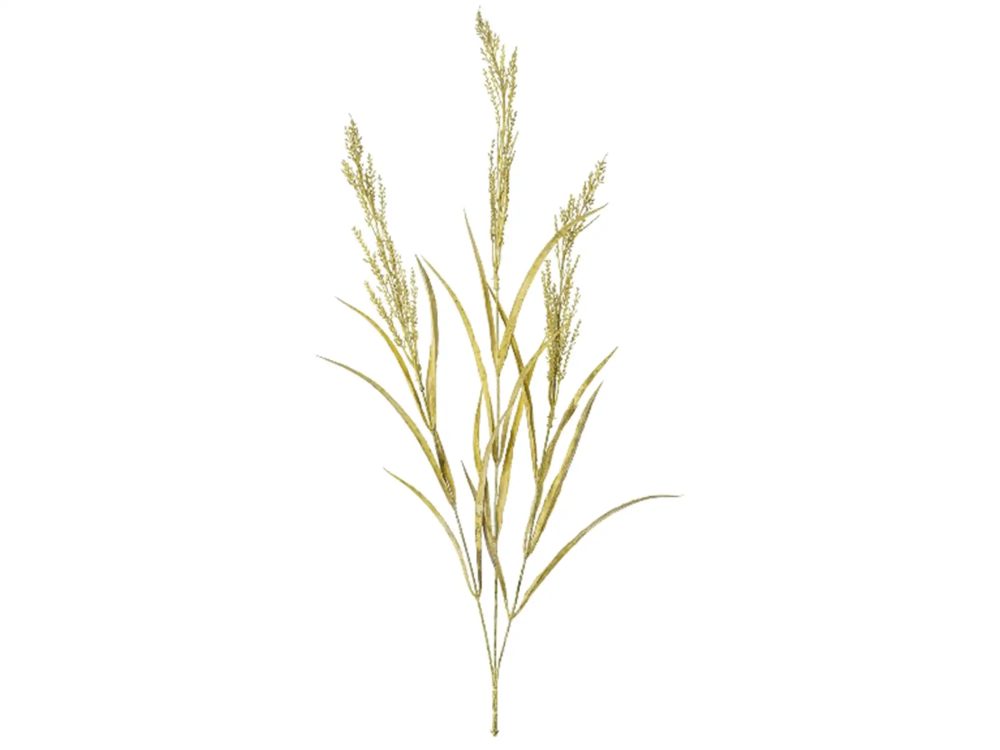 Gasper Kunstblume Reitgras Natur H: 84 cm  | Schubiger Möbel